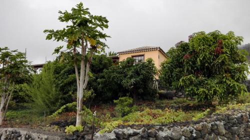 Los Quemados House | Casa Los Quemados