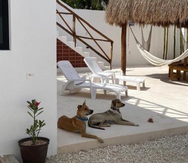 Chelem Apartment | Casa Loto D