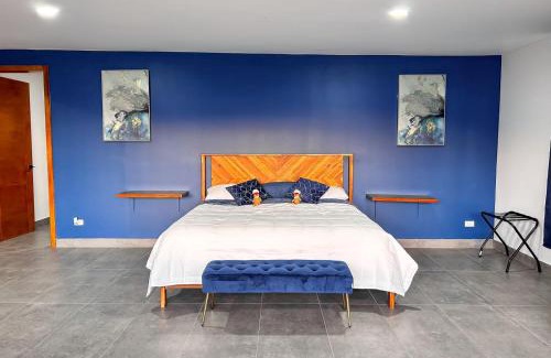 Valle de Guadalupe House | CASA LUGO mx