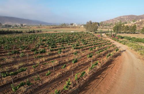 Valle de Guadalupe House | Casa Luna Viñedo