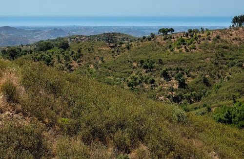 Fonte do Bispo Cottage | Casa Lynx, secluded hill top 2 bedroom getaway with pool and fenced garden