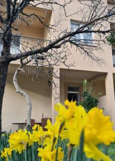 Tomicici Apartment | Casa M 1