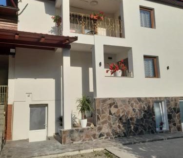 Viseu de Sus House | Casa M&M