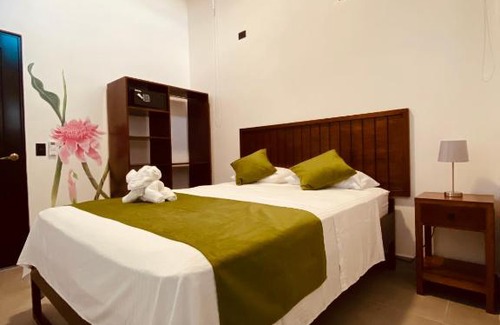 Barrio Pilo House | Casa Macaw