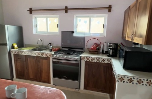 Ixtapa - Zihuatanejo House | Casa Mana: Playa Blanca beachfront home w/private pool and outdoor kitchen