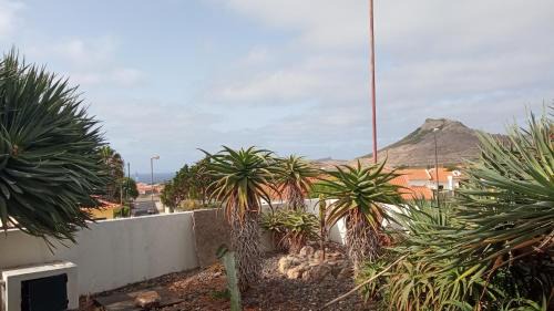Porto Santo House | Casa Mansa