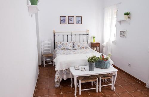 Santa Cruz de Tenerife House | Casa María Cristina 3