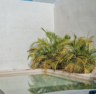 Barrio de Santiago House | Casa Mara 53 Luxury House in downtown Mérida