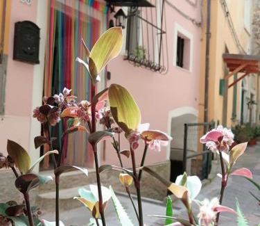 Arcola House | Casa Martina