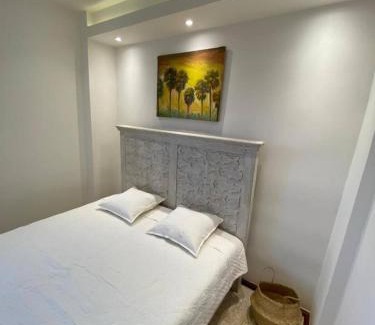 Zona Colonial Apartment | Casa Meriño - Leo's Penthouse #5
