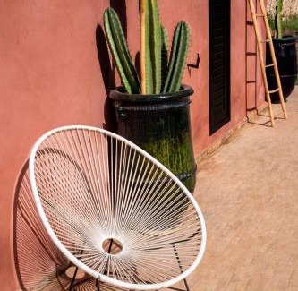 Had Dra House | CASA MISASHA nature, calme, bio et vos repas préparés par notre cuisinière