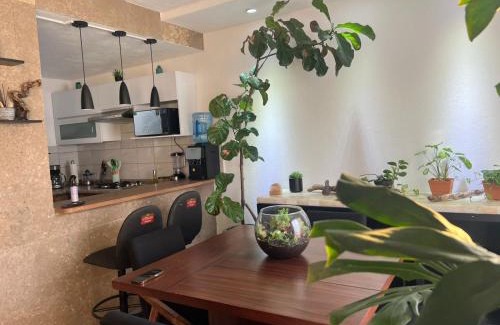 Valle de Banderas House | Casa Monstera te espera