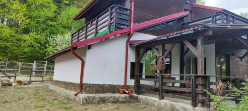 Avrig House | Casa Munteanu