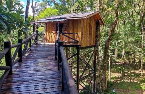 Monte Verde Cabin | Casa na Árvore Monte Verde
