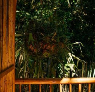 Ilha Grande Apartment | Casa na Vila de Abraão