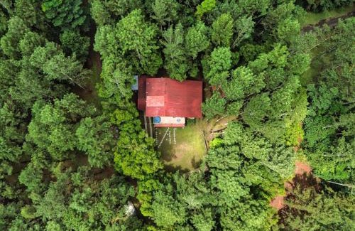 Cerro Azul House | Casa Naranja en Cerro Azul