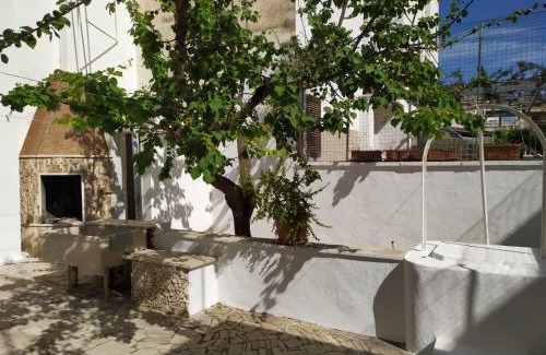 Lido Conchiglie House | Casa Nettuno