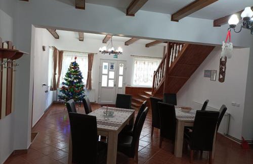 Rasnov House | Casa OALPEM