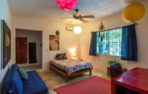 Ejidal House | Casa Oasis 777