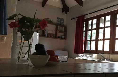 Palm Beach Estates Cottage | Casa Olas, Leatherback nesting, and Surfing main break Playa Grande