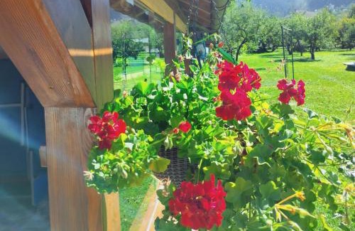 Brasov House | Casa Opal