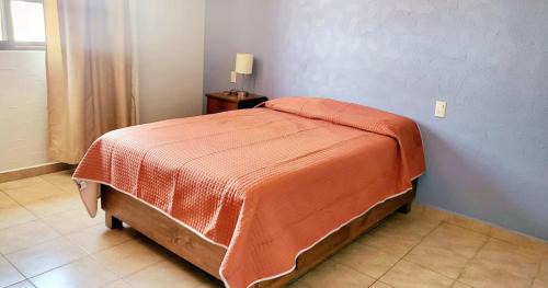 Oaxaca Apartment | Casa orejas de elefante