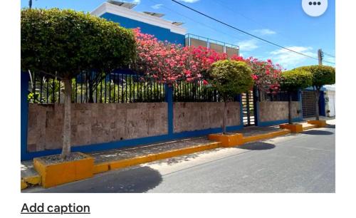 Downtown Mazatlan Bed & Breakfast | Casa Palencia Hotel and Breakfast
