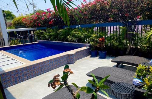 Downtown Mazatlan Bed & Breakfast | Casa Palencia Hotel and Breakfast