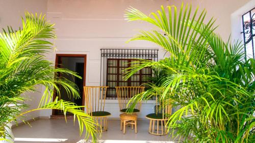 Manga Hotel | Casa Palmar Cartagena
