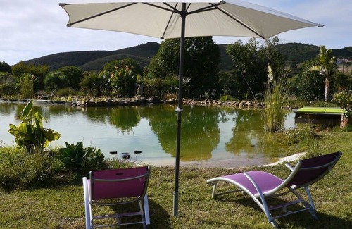 Aljezur House | CASA PALMEIRA: The Perfect Refuge 5 minutes from the Beach (Monte D. Sancho)