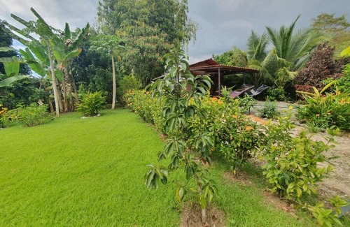 Ciudad Cortes House | CASA PALMERAS - peaceful mountain view