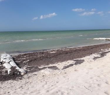 Progreso Municipality House | Casa Pepe Vacation Rental Progreso