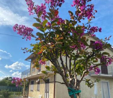 Marina di Massa House | Casa per Vacanze