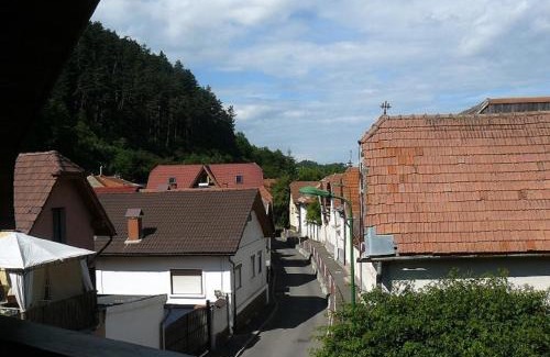 Brasov Villa | Casa Regal