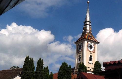 Brasov Villa | Casa Regal