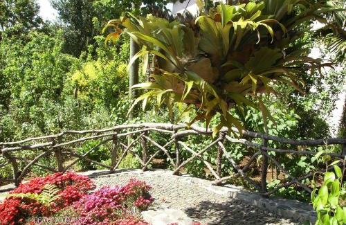 Camacha House | Casa Rosa