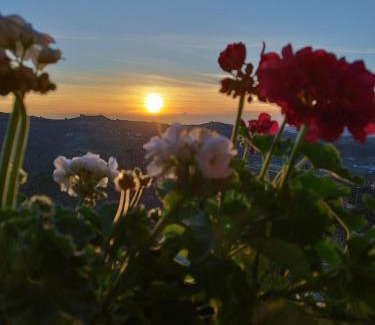 Alba Apartment | Casa Rubbo - Appartamento in collina 'Monviso'