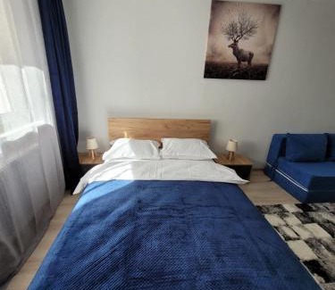 Resita Apartment | Casa Rusu -Moroasa-Self check in-24h Netflix
