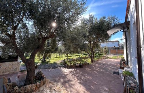 Tertenia House | casa Sa Brèca