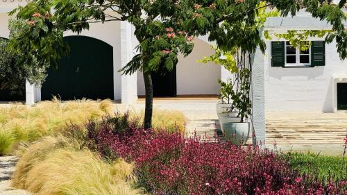 Sant Lluis House | Casa Sabarraca