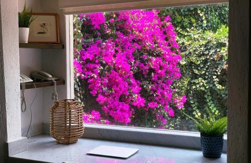 Coyoacan Villa | Casa San Angel Inn Boutique charming house
