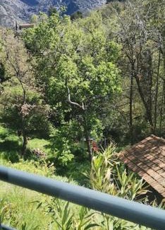 Feliceto House | Casa San-Ghjuvà