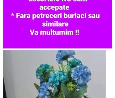 Constanta Apartment | Casa Sebastian