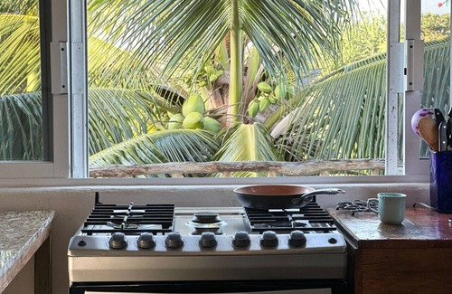 Emiliano Zapata Apartment | Casa Shaka`s Surfside Penthouse