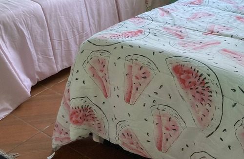 Weissopolis House | Casa Simples Para Quem vem a Trabalho