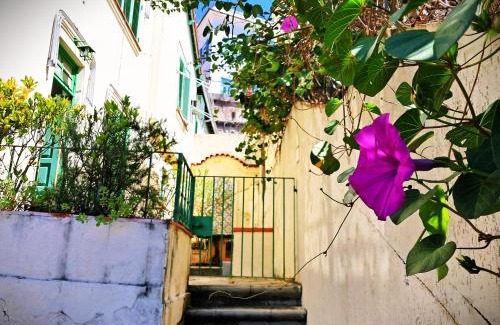 Santa Teresa Apartment | Casa Studio em Santa Teresa