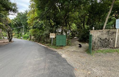 Montezuma House | Casa Susen
