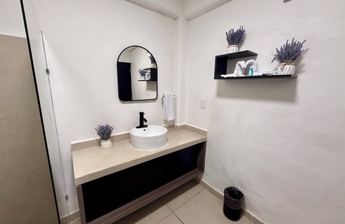 Downtown Hotel | CASA TORTUGA 5Th. Ave