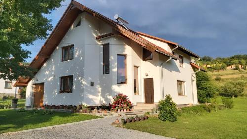 Sovata House | Casa Toth