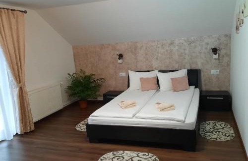 Toplita House | Casa Truța